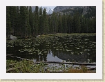 RMNP 060 * Nymph Lake * Nymph Lake * 1600 x 1200 * (1.2MB)